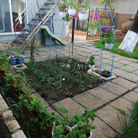 Casa Flor Două Mai Exterior foto