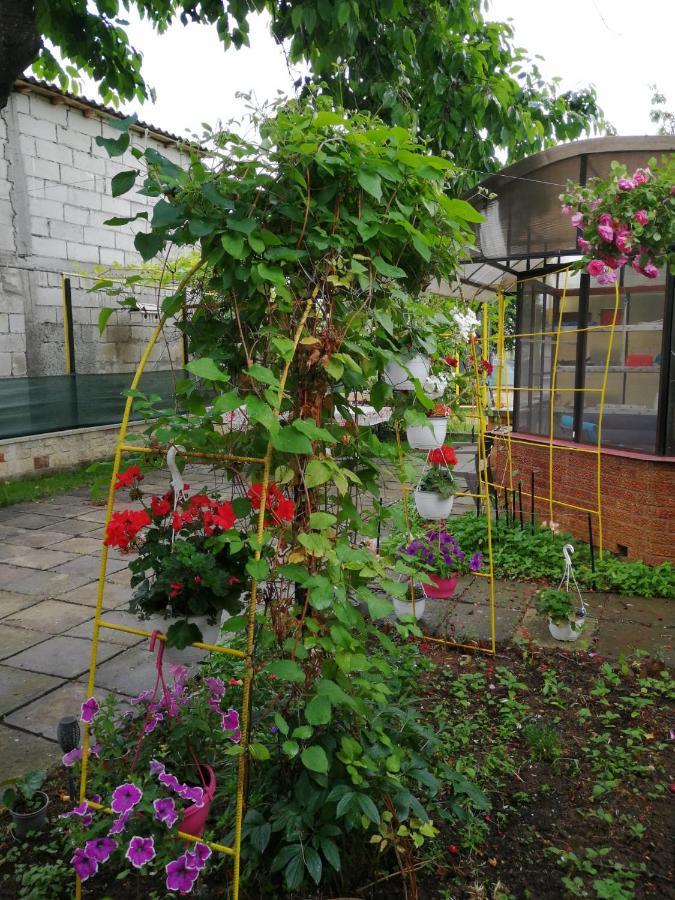Casa Flor Două Mai Exterior foto