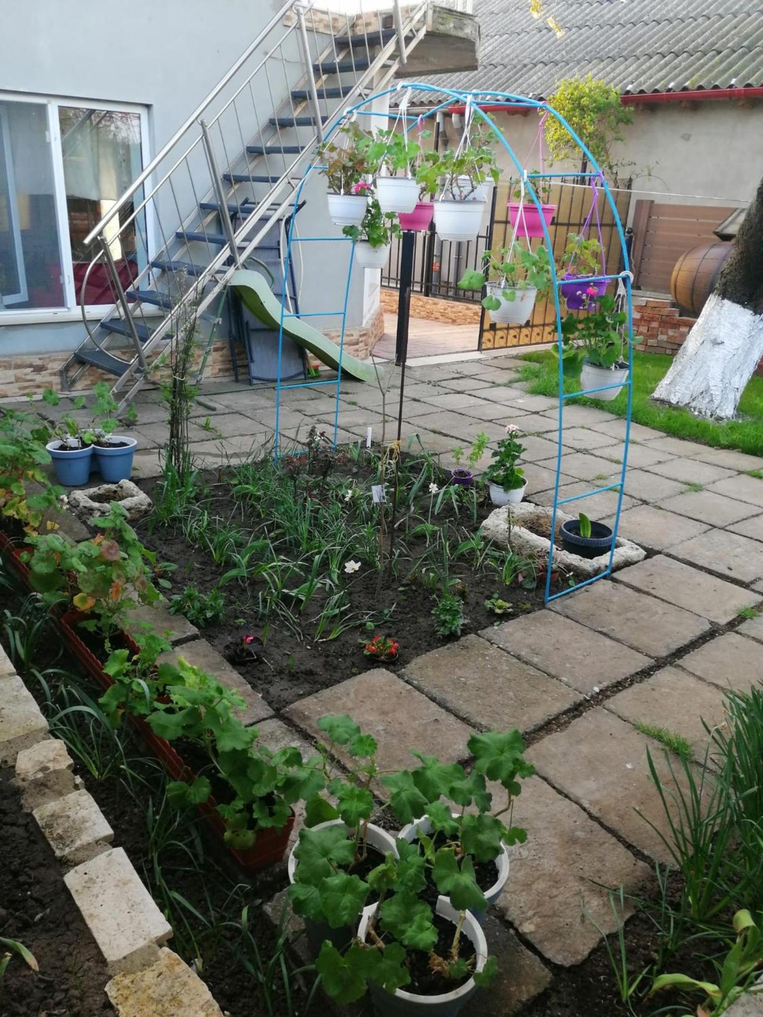 Casa Flor Două Mai Exterior foto